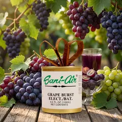 SANI AIR - PACK 3 LATAS GRAPE BURST