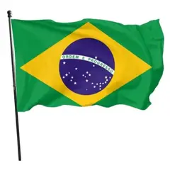 DORAL - Bandera De Brasil 60cms X 90cms Estampada Ojales Metálicos.