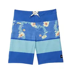 VANS - Shorts Print Stripe Boardshort Active