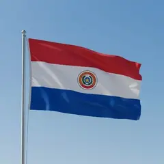 DORAL - Bandera De Paraguay 90x60 Cm Estampada Argollas Metálicas.