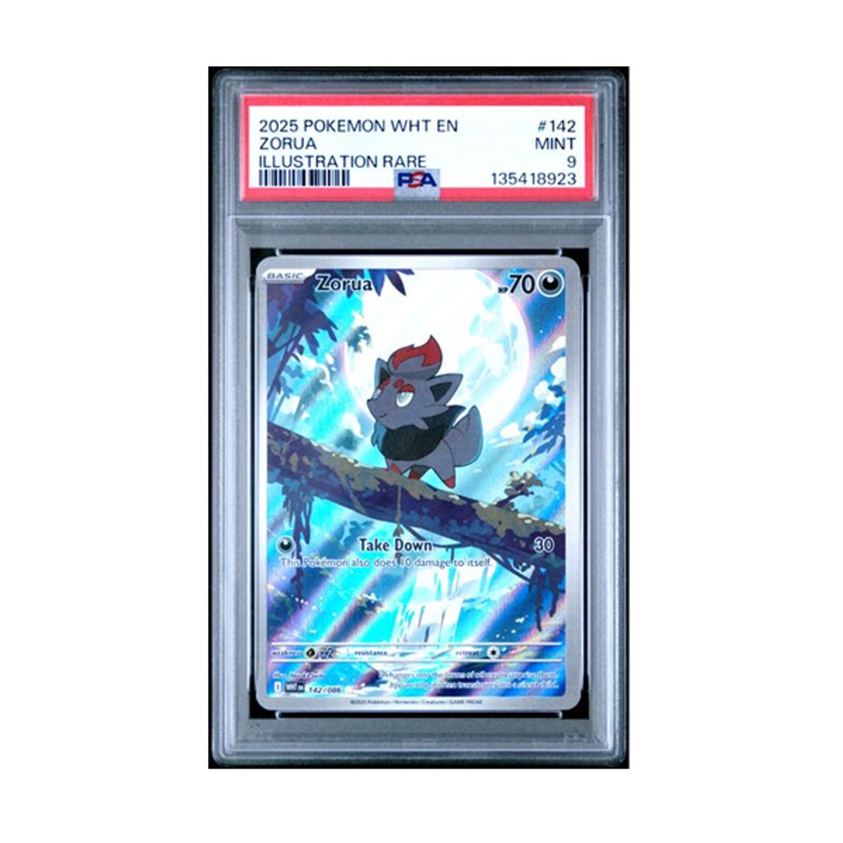 POKEMON - Pokemon TCG Zorua 142 PSA MINT 9