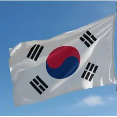 DORAL - Bandera Corea Del Sur 90x60 Cm Estampada Argollas Metálicas.