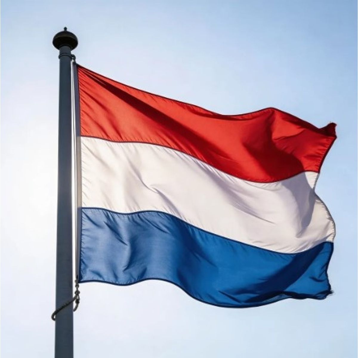DORAL - Bandera De Países Bajos 90x60 Cm Estampada Argollas Metálica.