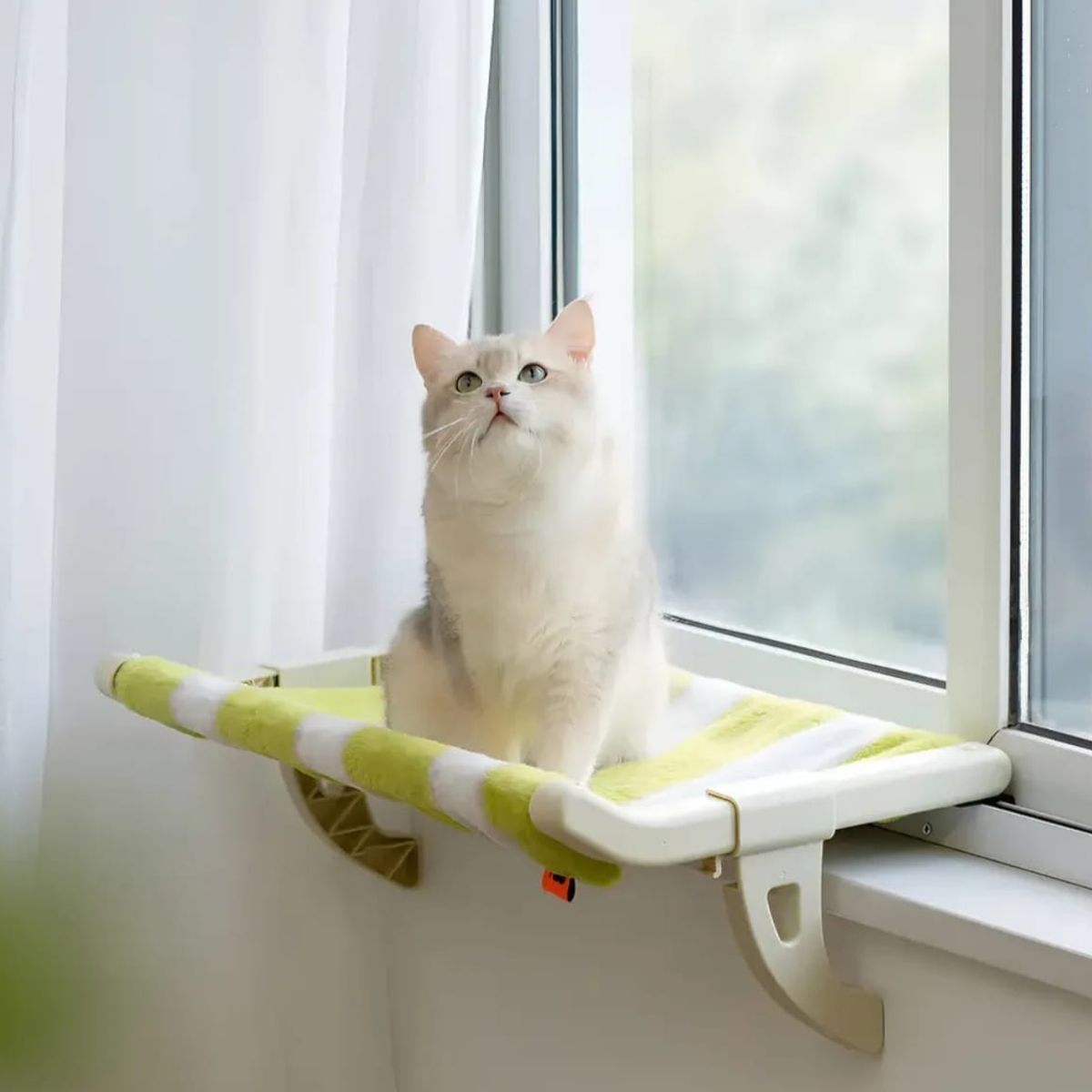 GENERICO - Cama Colgante Para Gatos Hamaca Para Ventana Sofa Gato Cama Mascotas