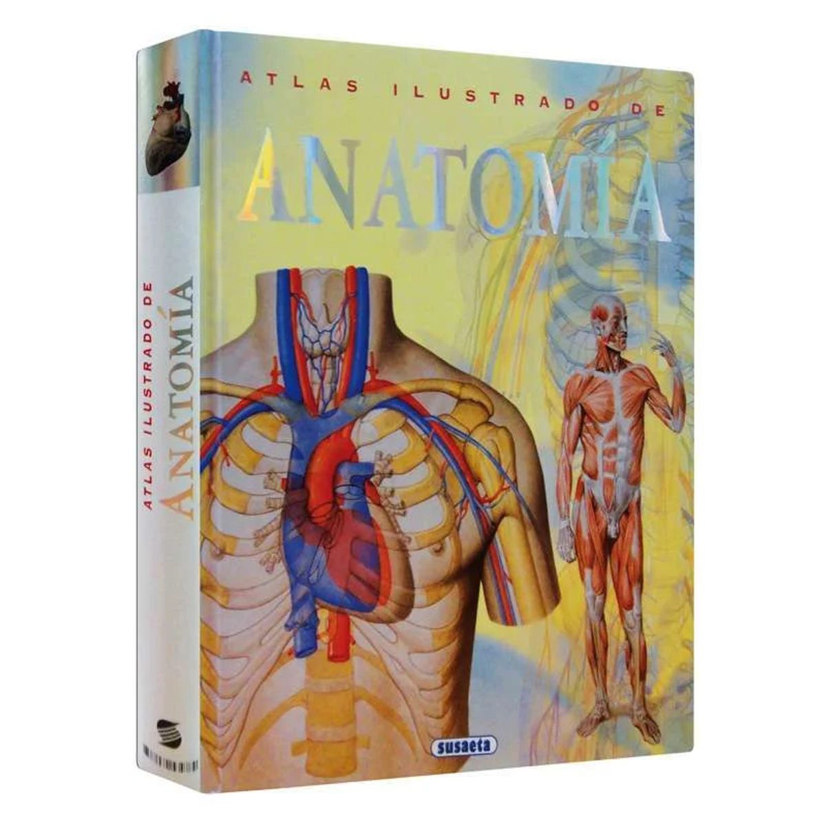 SUSAETA EDICIONES CHILE S A - Atlas Ilustrado de Anatomía