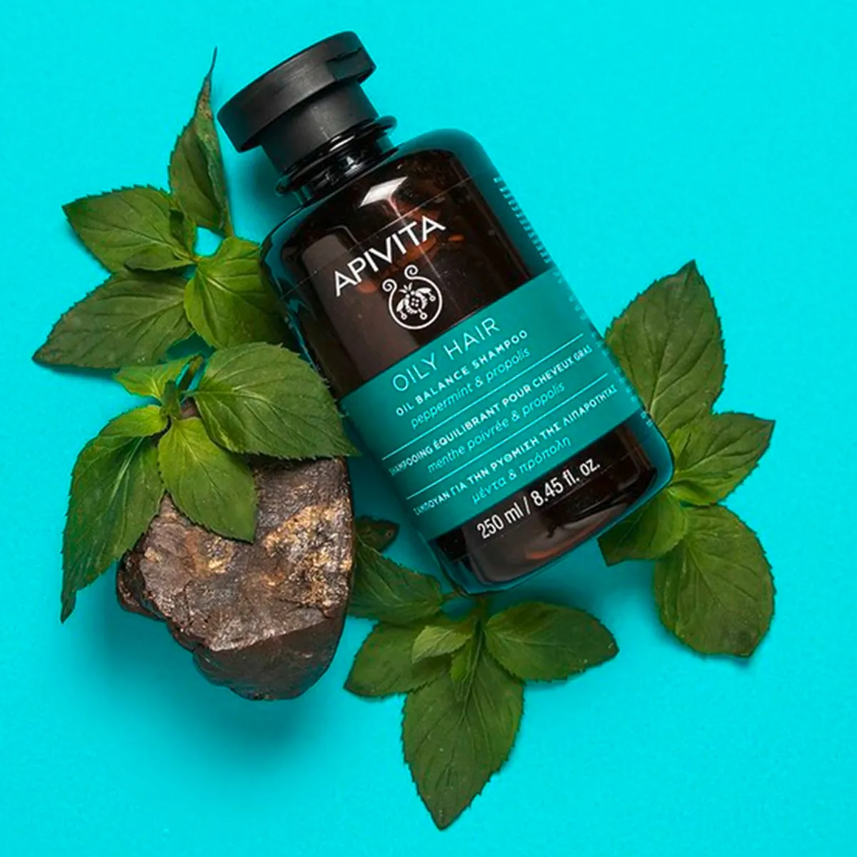 APIVITA - Shampoo Equilibrante para Cabello Graso 250ml Apivita