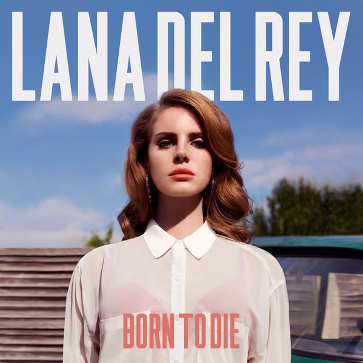GENERICO - Lana Del Rey - Born To Die  Vinilo