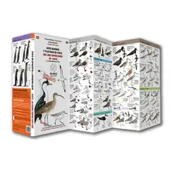 MUSEO EDICIONES - Guía De Aves Marinas Y Playeras De Chile