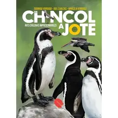 TOP10BOOKS - LIBRO De Chincol A Jote: Aves Chilenas