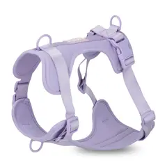 PRAWS - Arnés Paws Lila L 18 a 35 kg