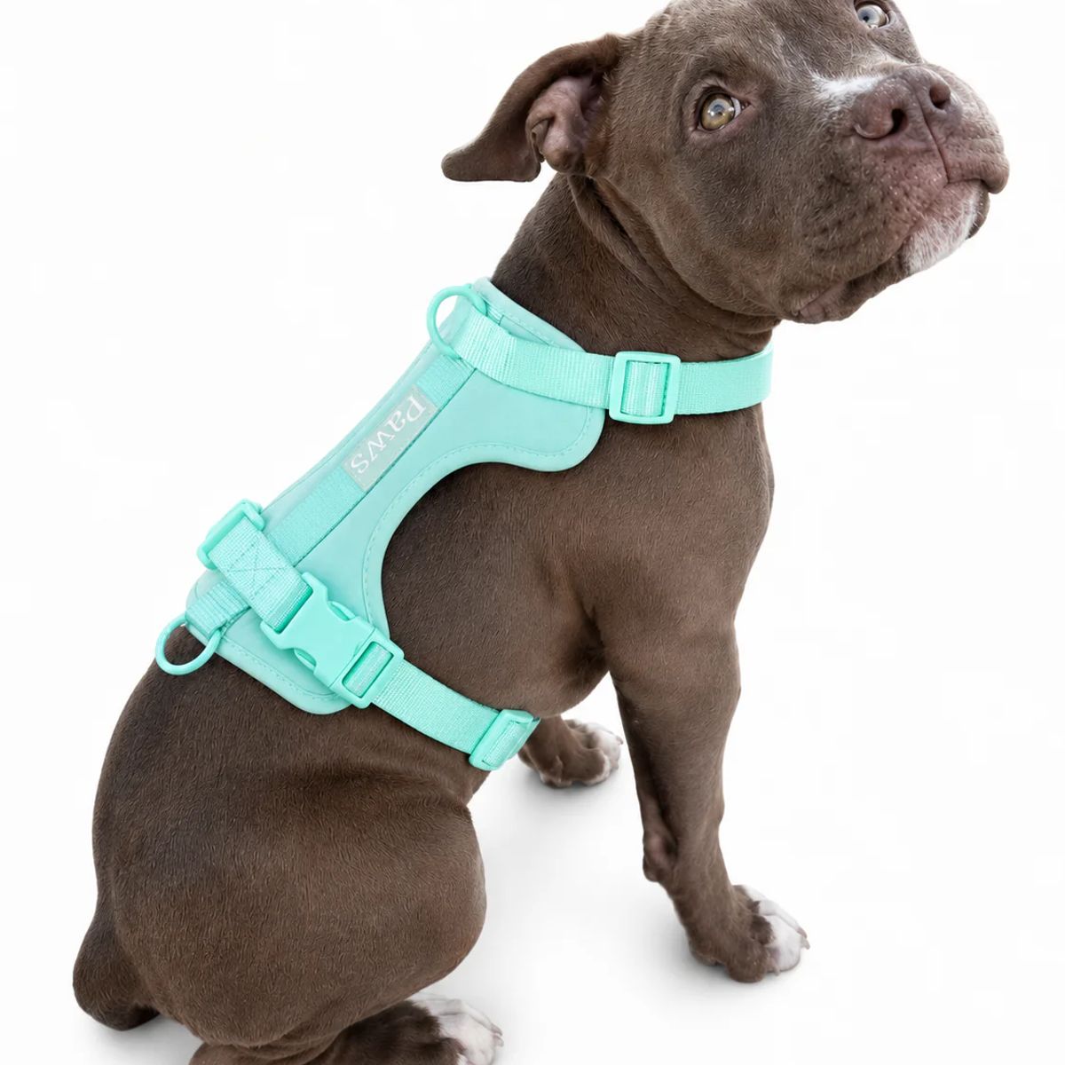 PRAWS - Arnés Paws Verde Oliva  M 10 a 18 kg