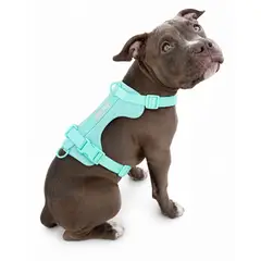 PRAWS - Arnés Paws Amarillo L 18 a 35 kg