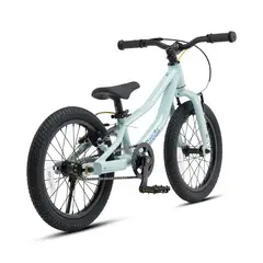 RODA - Bicicleta de equilibrio Pro 16 v4