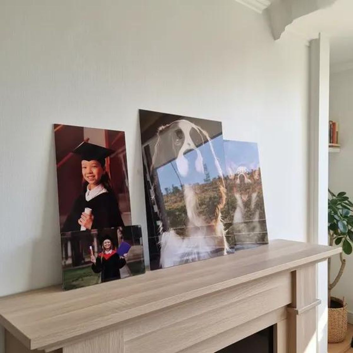 GENERICO - Cuadros personalizados en acrílico para decoración