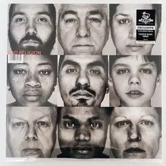 GENERICO - Bad Religion - The Gray Race - Vinilo