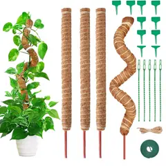 TSKY CHILE SHOPPING - 4 pcs Tutor para Plantas Trepadoras, 100cm Varilla Flexible para Musgo, Tutores de Musgo Flexible
