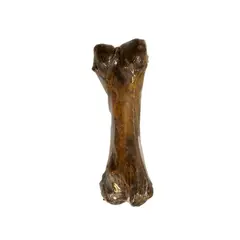 GENERICO - Snack Para Perro Hueso Femur Pequeño De Cerdo 20 cm