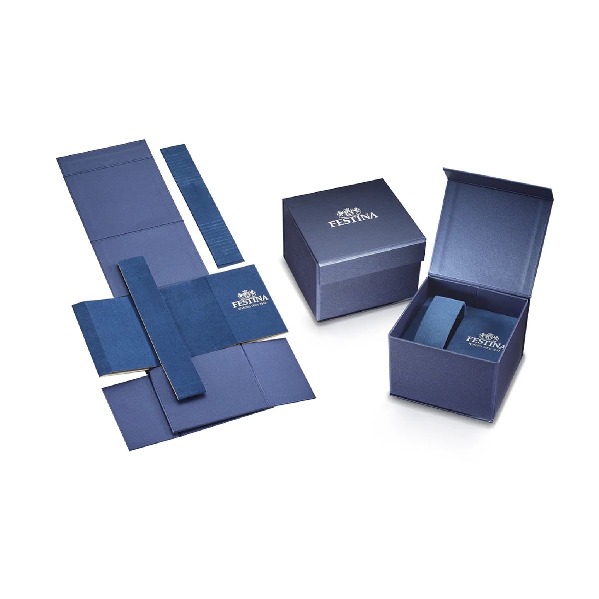 FESTINA - Reloj Festina The Originals F203304 47mm
