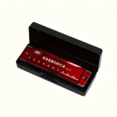 VATYERTY - 1 armónica de 10 agujeros