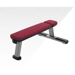 LIFE FITNESS - Flat Bench LBR-FB