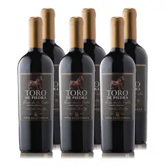 TORO DE PIEDRA - Vino Rincón de los Vientos Cabernet Sauvignon 750cc x6