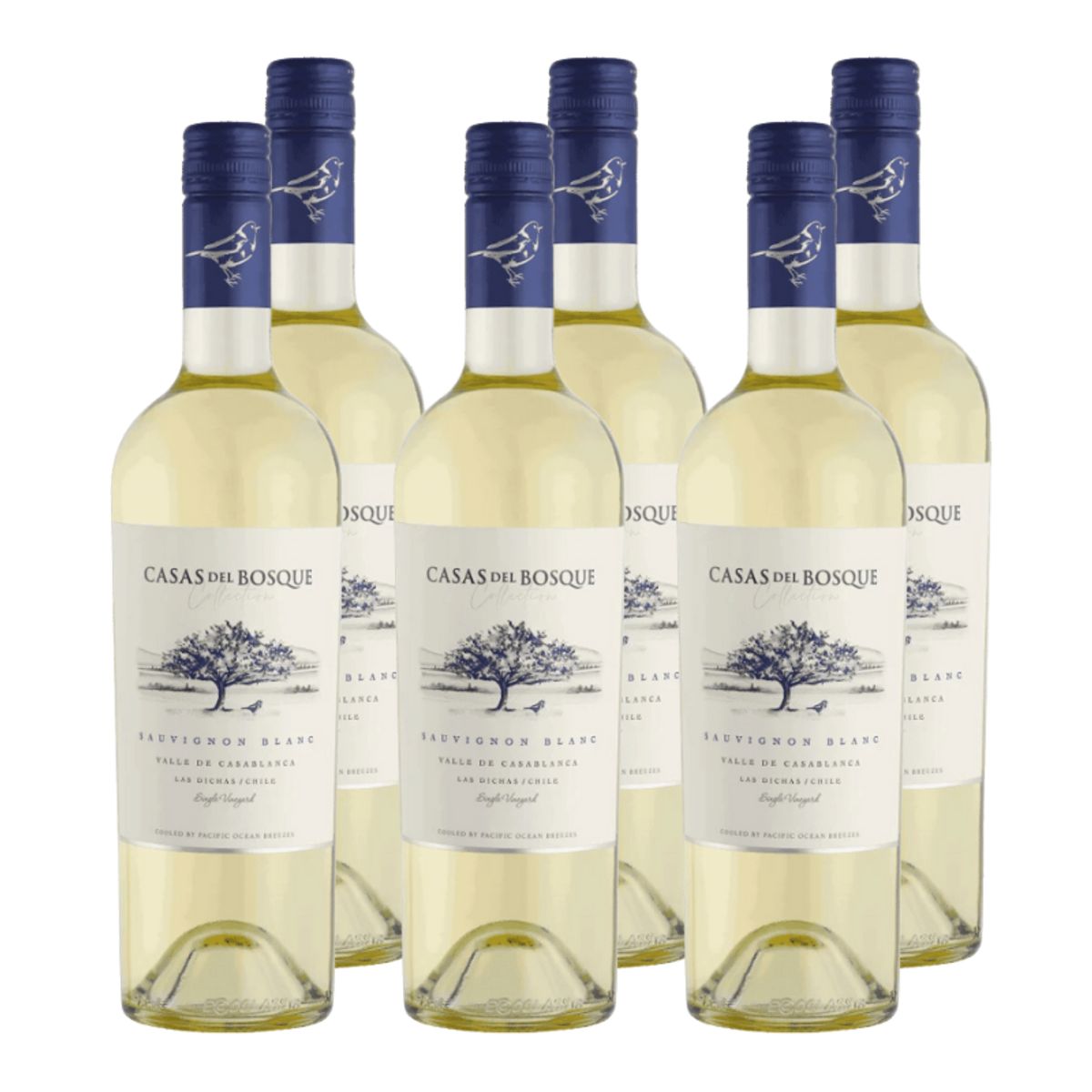 CASAS DEL BOSQUE - Vino Casas del Bosque Collection Sauvignon Blanc 750cc x6