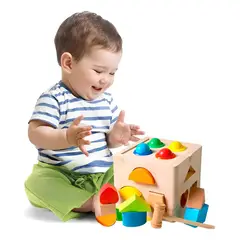 GENERICO - Cubo de Encaje Didáctico de Madera Montessori