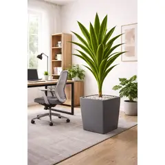 ARBUSTO REAL - Planta Artificial Drácena 160cm Hojas Realistas Interior