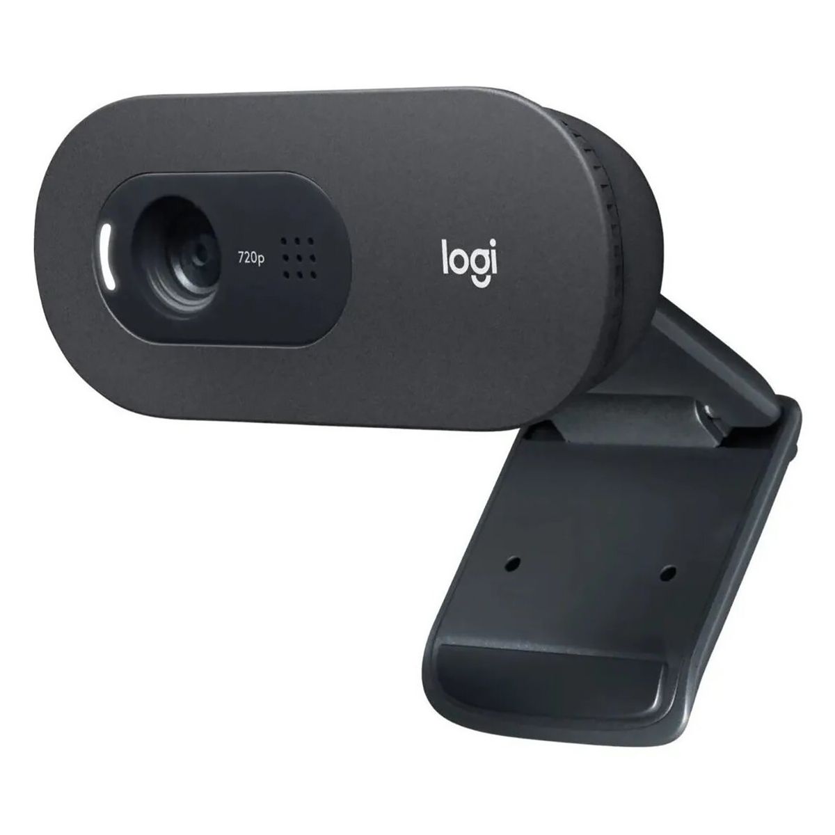 LOGITECH - Webcam Logitech C505 Hd 720p 30fps Con Micrófono