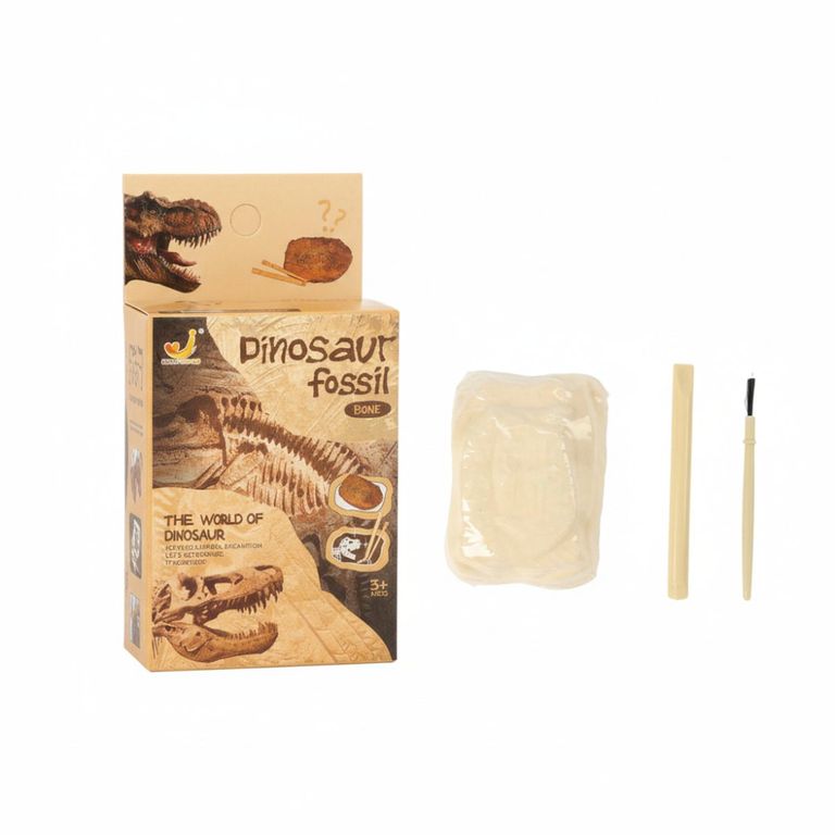 Set Excavacion Fosil Dinosaurio