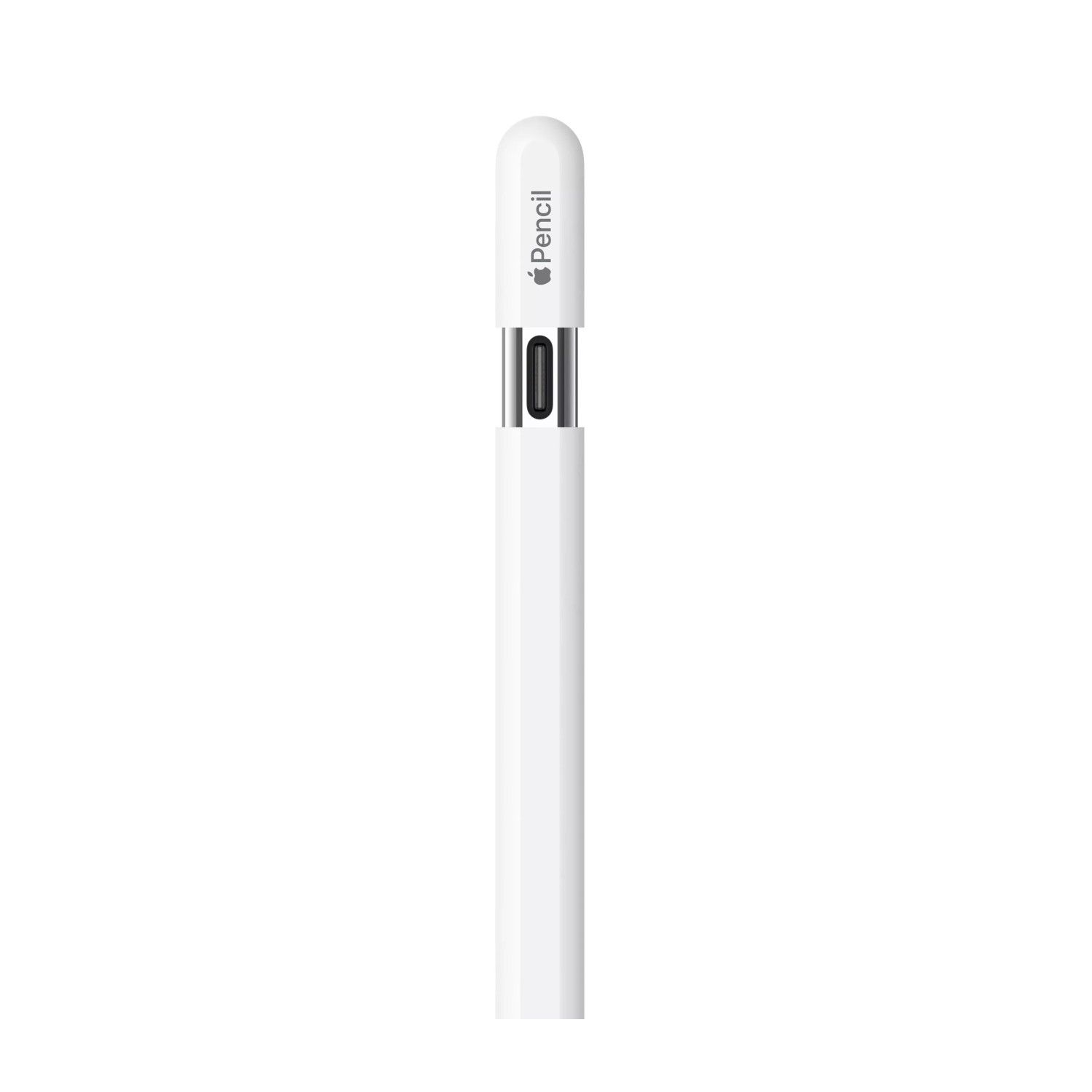 APPLE Apple Pencil USB-C para iPad | Falabella Chile