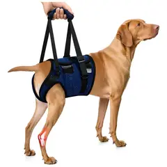 GENERICO - Arnes Soporte Para Perros Patas Traseras Arnes De Elevacion BELUG