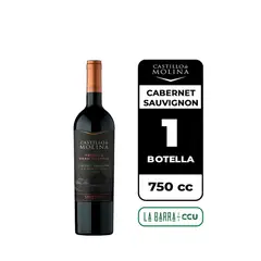 CASTILLO DE MOLINA - Vino Tributo Gran Reserva Cabernet Sauvignon 750cc
