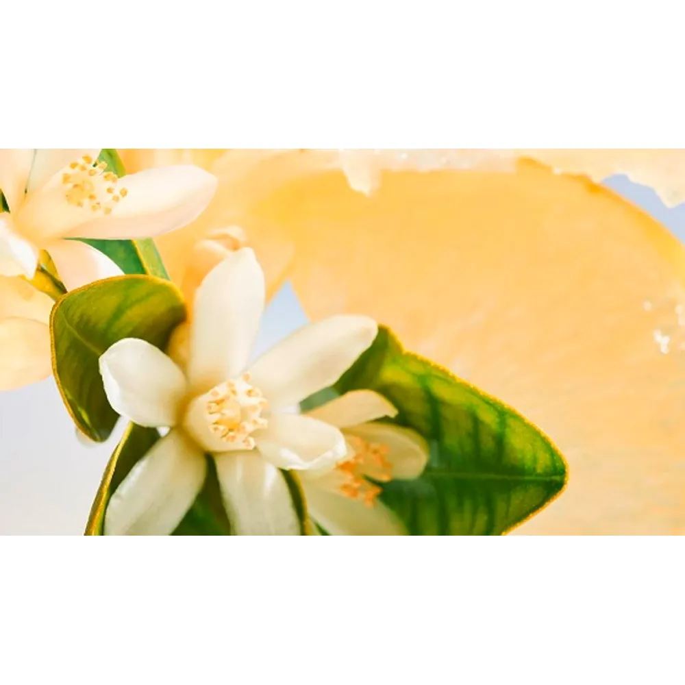Bvlgari Allegra Riva Solare EDP 100 ml, foto 8