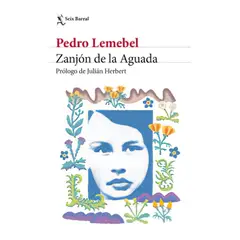 TOP10BOOKS - LIBRO Zanjón De La Aguada - PEDRO LEMEBEL