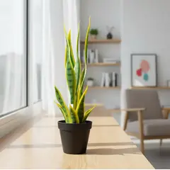 GENERICO - Planta Artificial Lengua De Suegra Con Macetero Negro