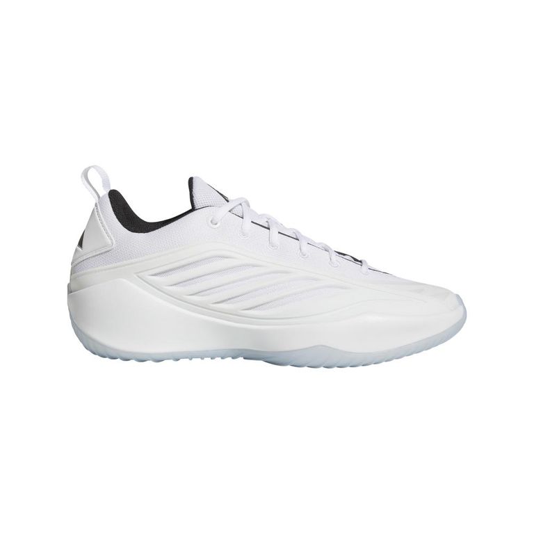 Zapatillas Básquetbol Unisex adulto
