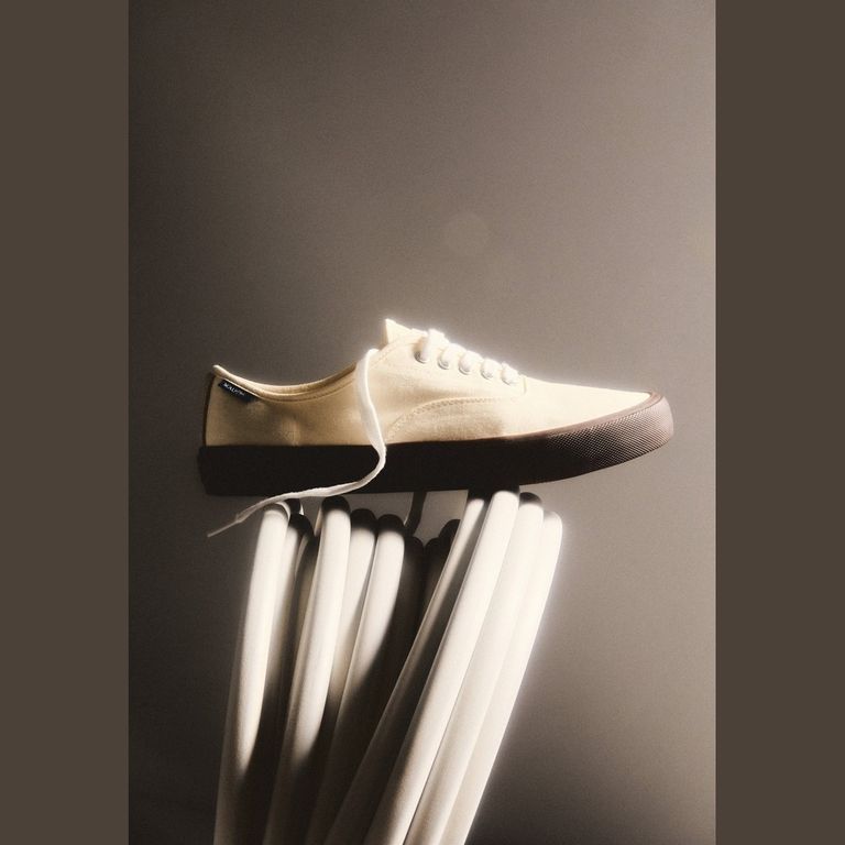 ZAPATILLA CANVAS LOW CUT