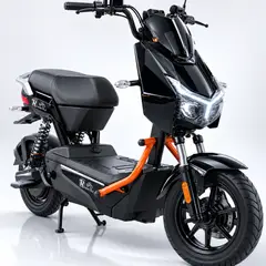GENERICO - Bicicleta Electrica Rami Lince