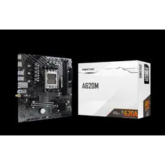 BIOSTAR - Placa Madre A620MS-E