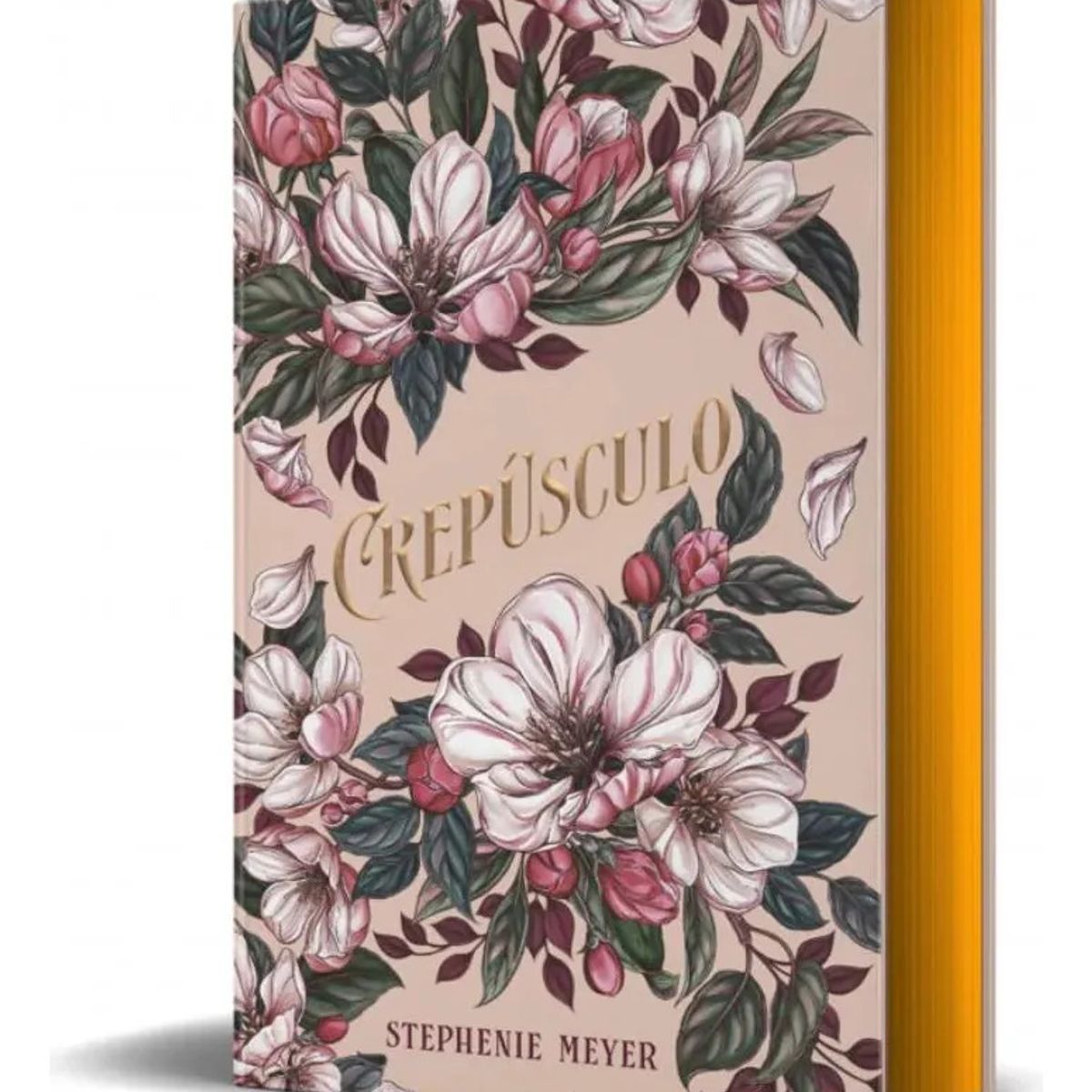ALFAGUARA - Crepúsculo Edicin Especial Tapa Dura