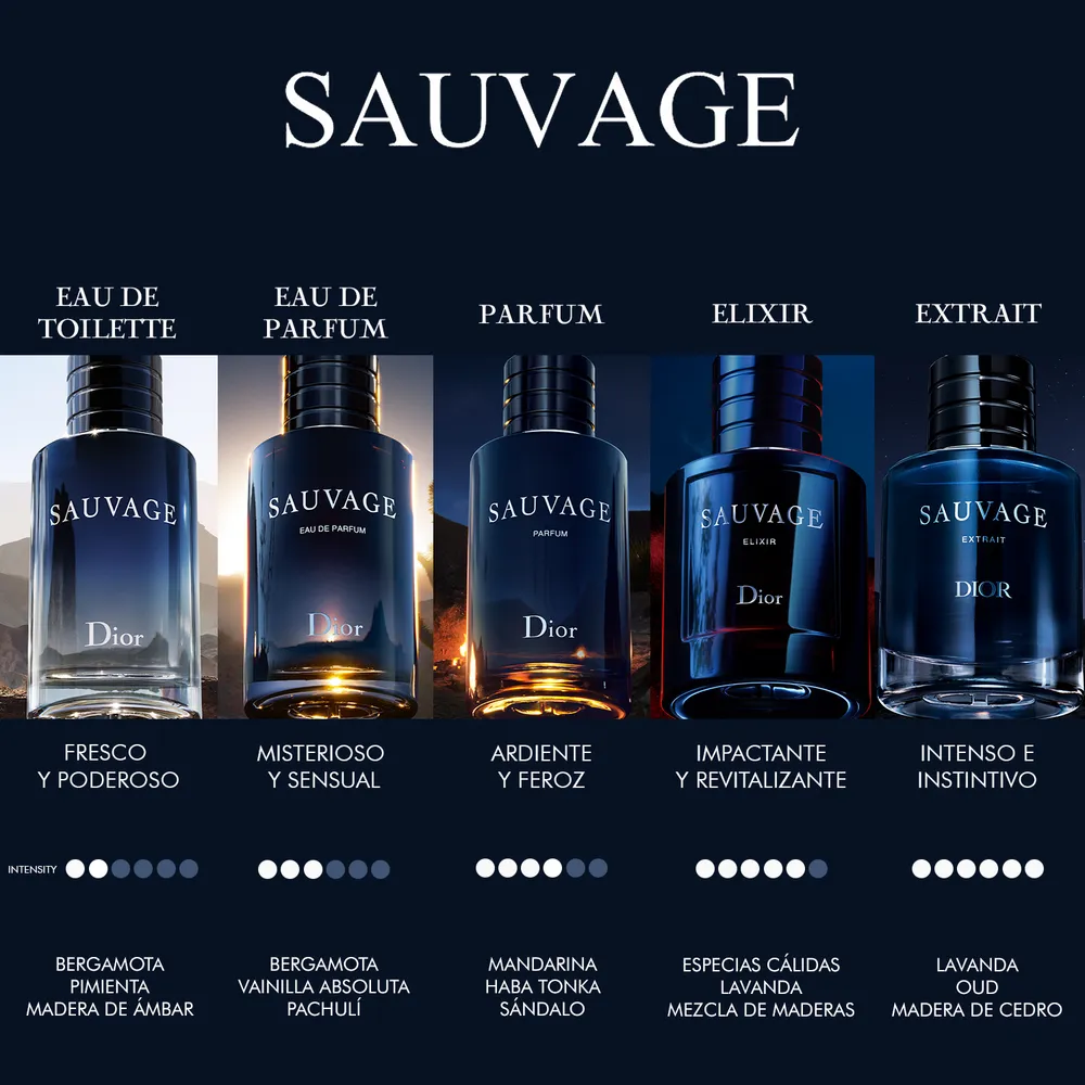 Dior Sauvage Elixir EDP 60 ml, foto 5