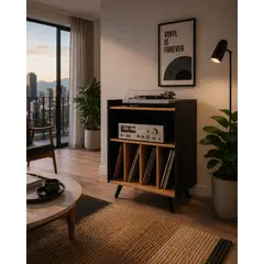 GENERICO - Mueble Rack para vinilos de 60 cm x 40cm x 90 cm