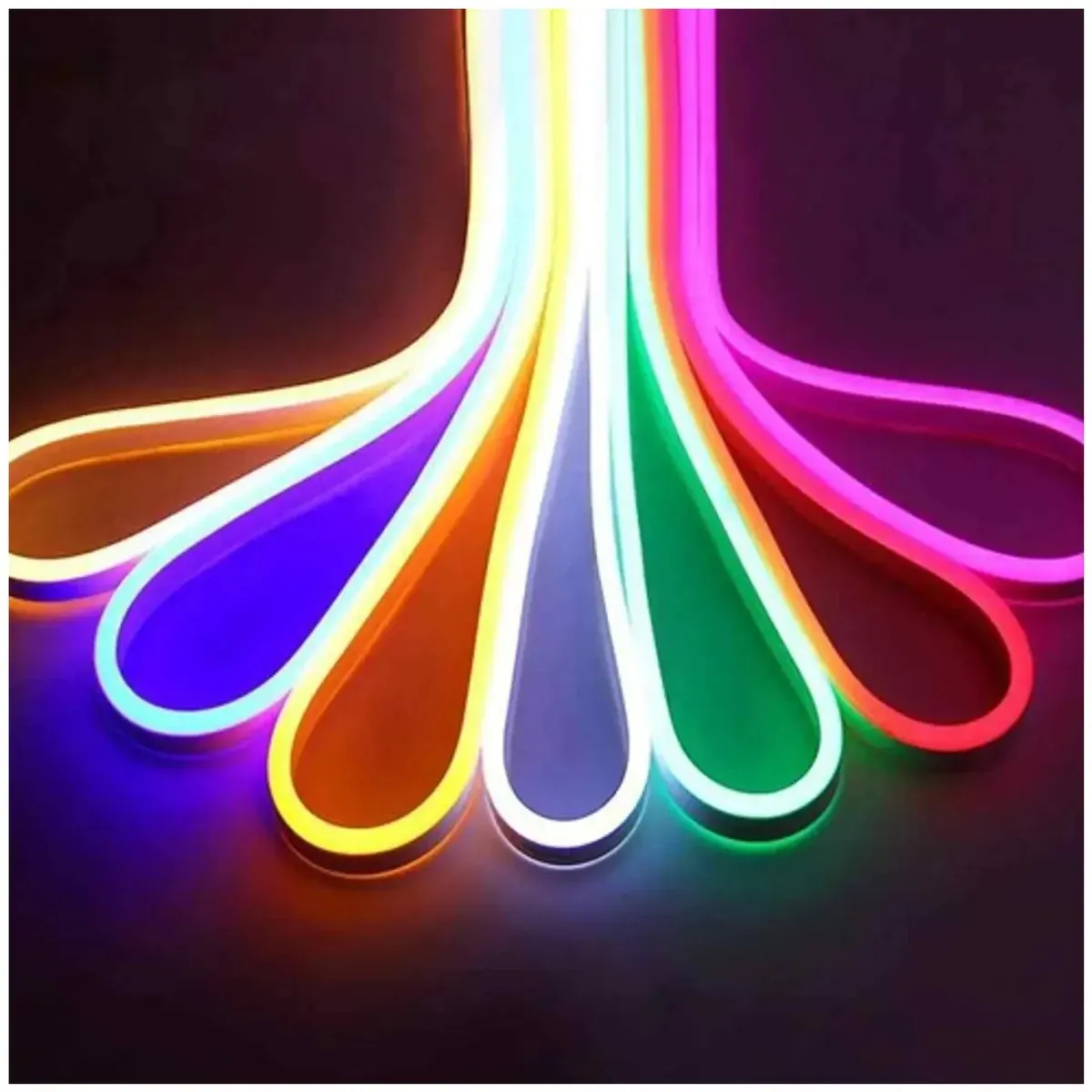 WANT - Cinta Led Neon Luz 5 Metros Flexibletransformador 12v BLANCO FRÍO