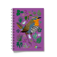 CACHUDITO - Cuaderno Chucao tapa dura 100 hojas