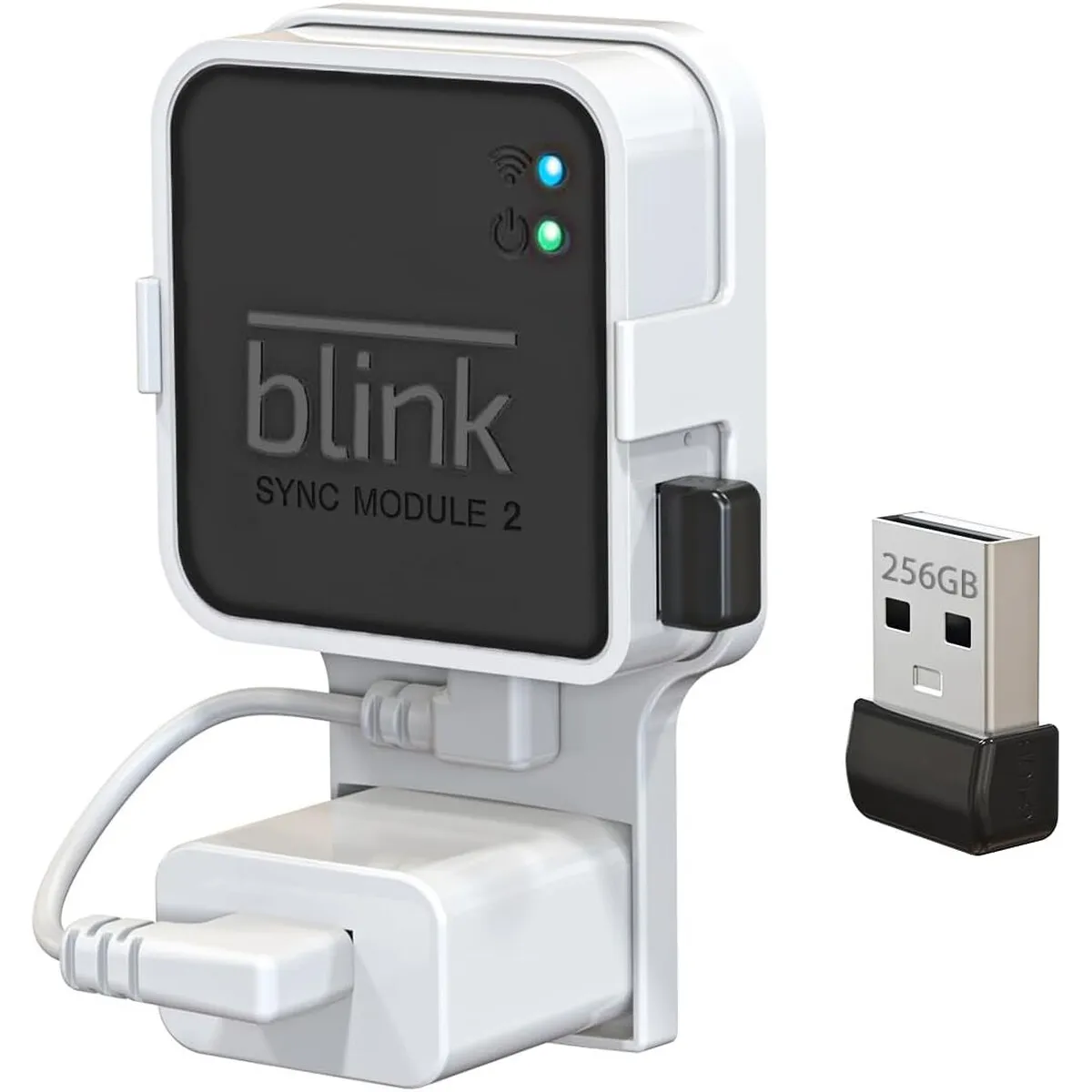 BLINK - Pendrive 256GB Blink con Montaje Pared para Sync Module 2