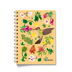 CACHUDITO - Cuaderno Picaflor chico tapa dura 100 hojas