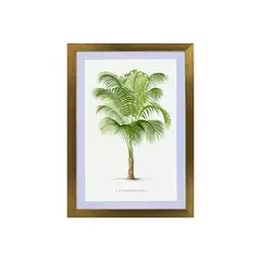 RONDA - Cuadro palmera chica 40X60 CMS