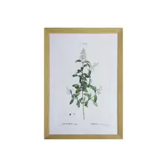 RONDA - Cuadro planta ligustrum 40X60 CMS