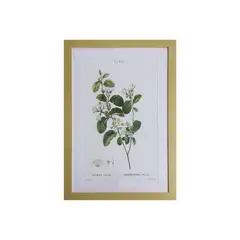 RONDA - Cuadro planta styrax 40X60 CMS